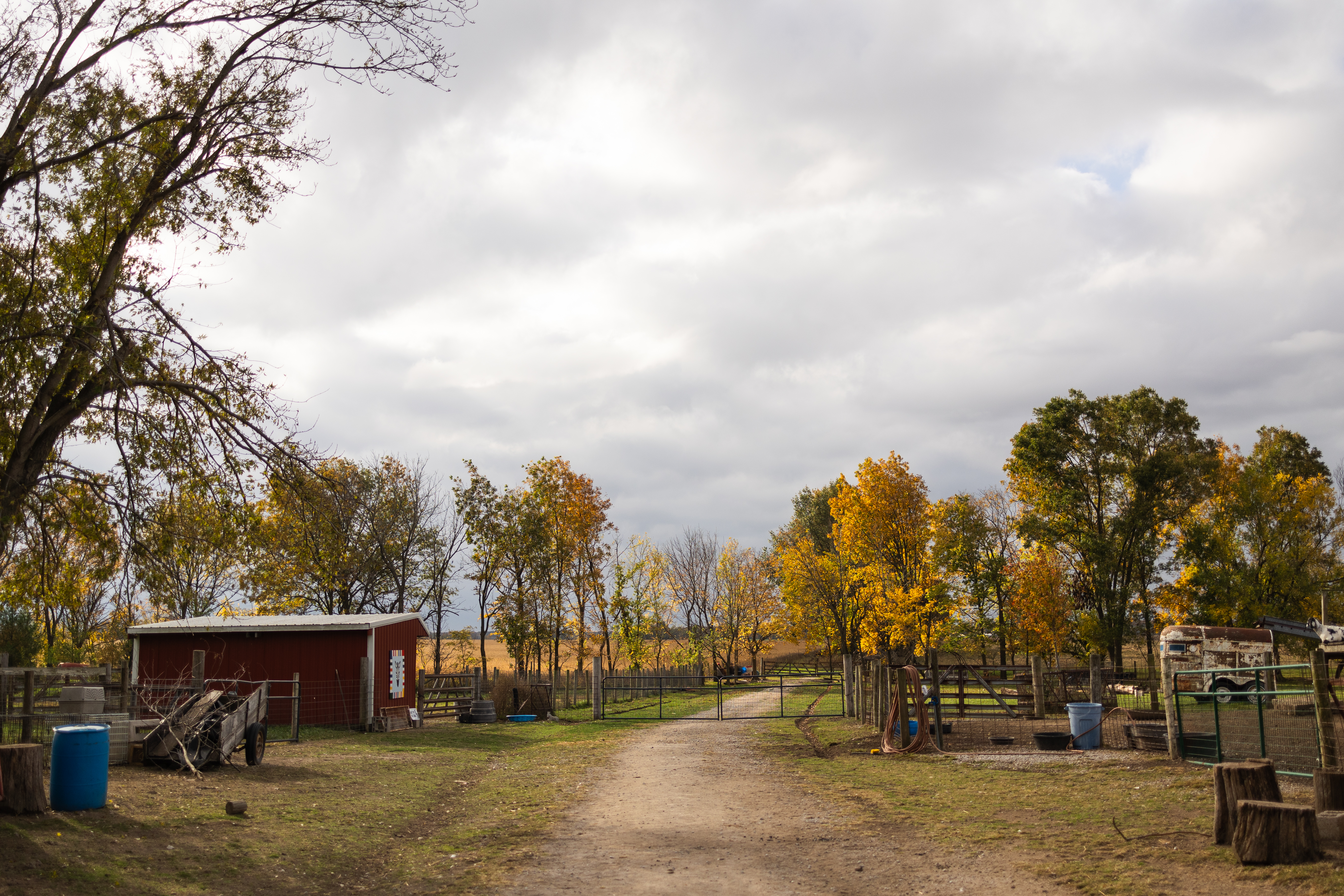 Rainbow Ranch Fall Fetival